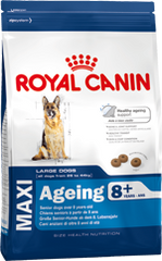 Royal Canin Maxi Ageing 8+